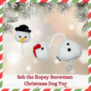 Seb the Snowman Ropey Dog Toy