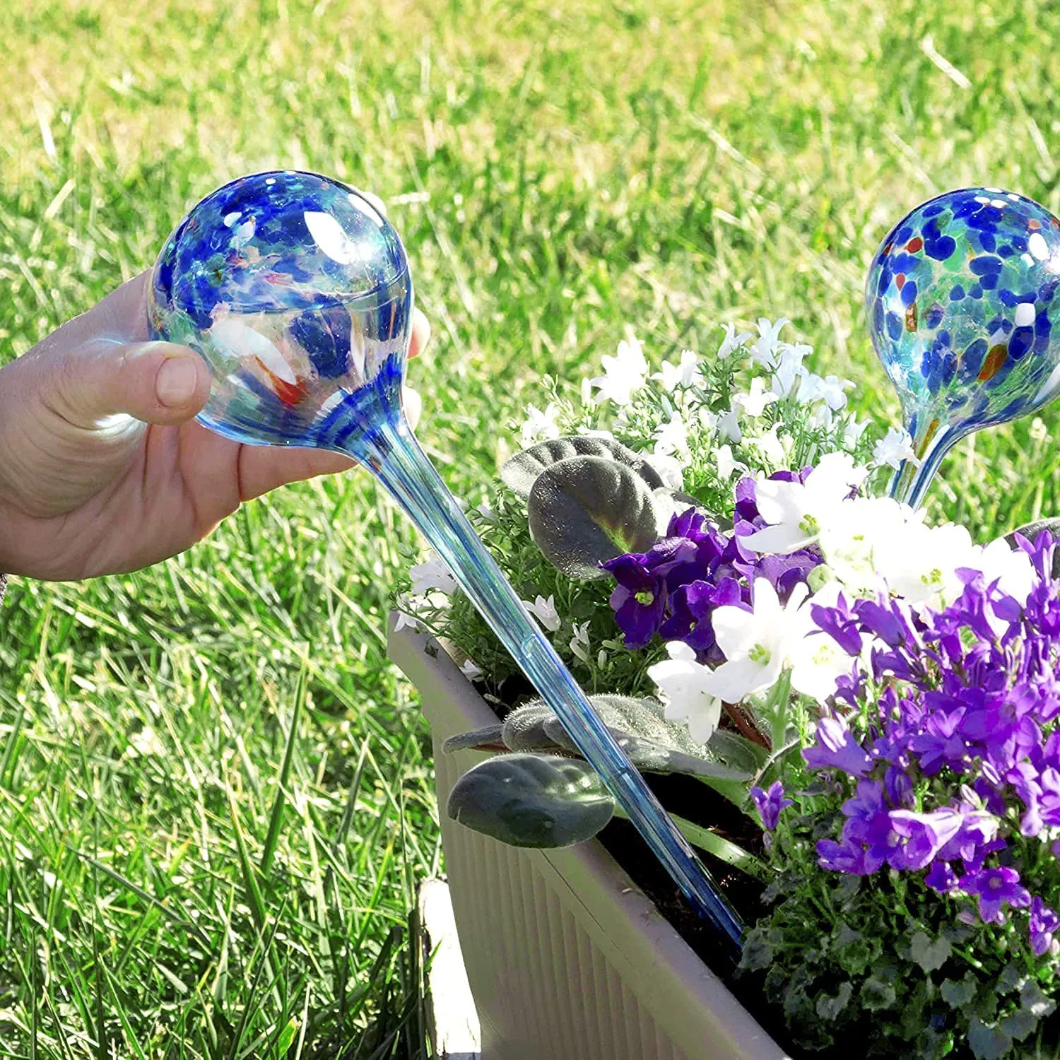 Self Watering Globes - Pack of 2 - Handcrafted Glass