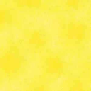 Shadow Blush Lemon