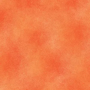 Shadow Blush Orange