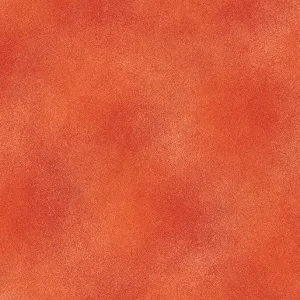 Shadow Blush Persimmon