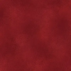Shadow Blush Rouge