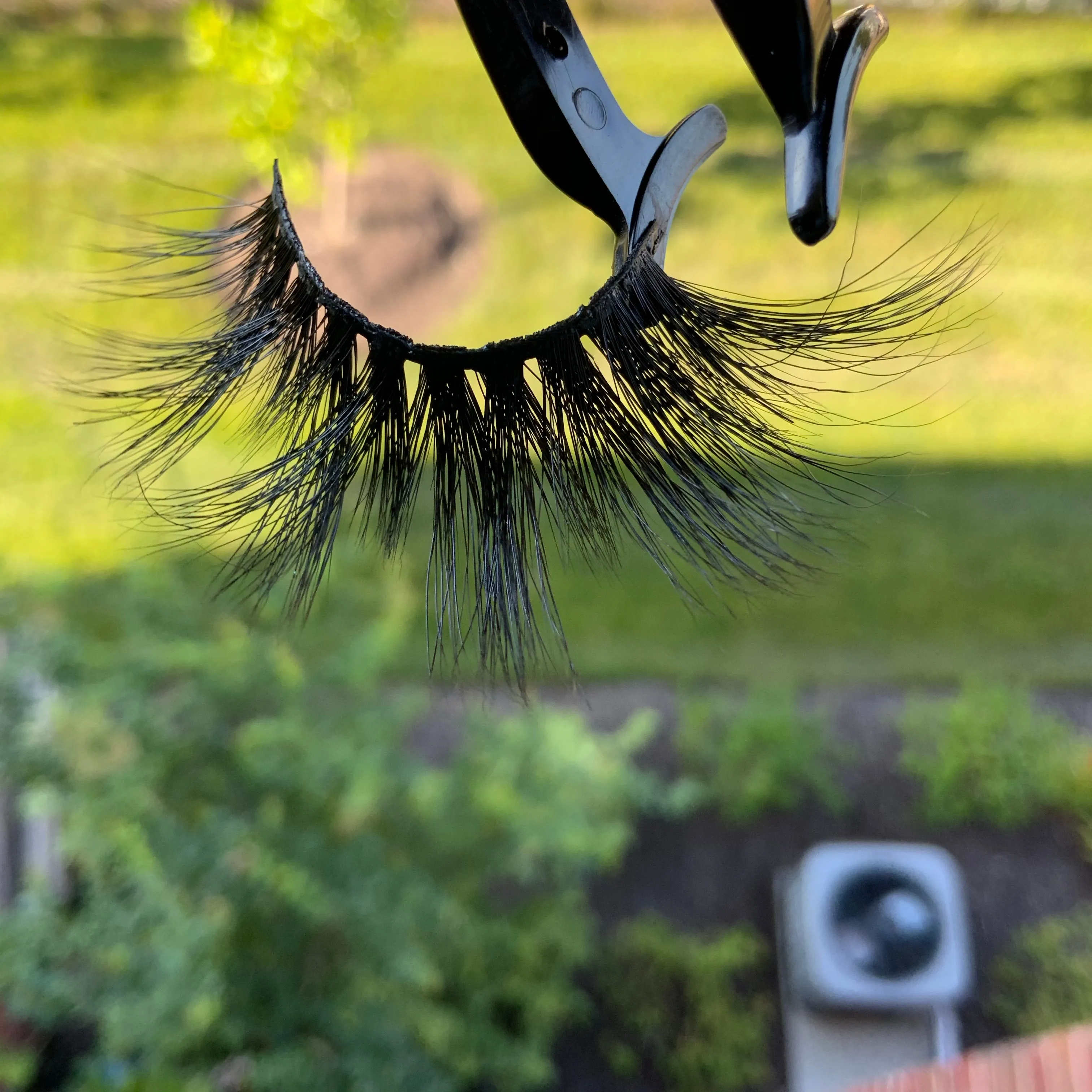 That BITCH.    E86