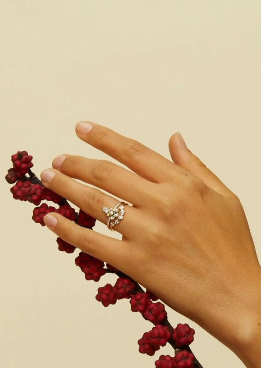 The Diamond Curve Band