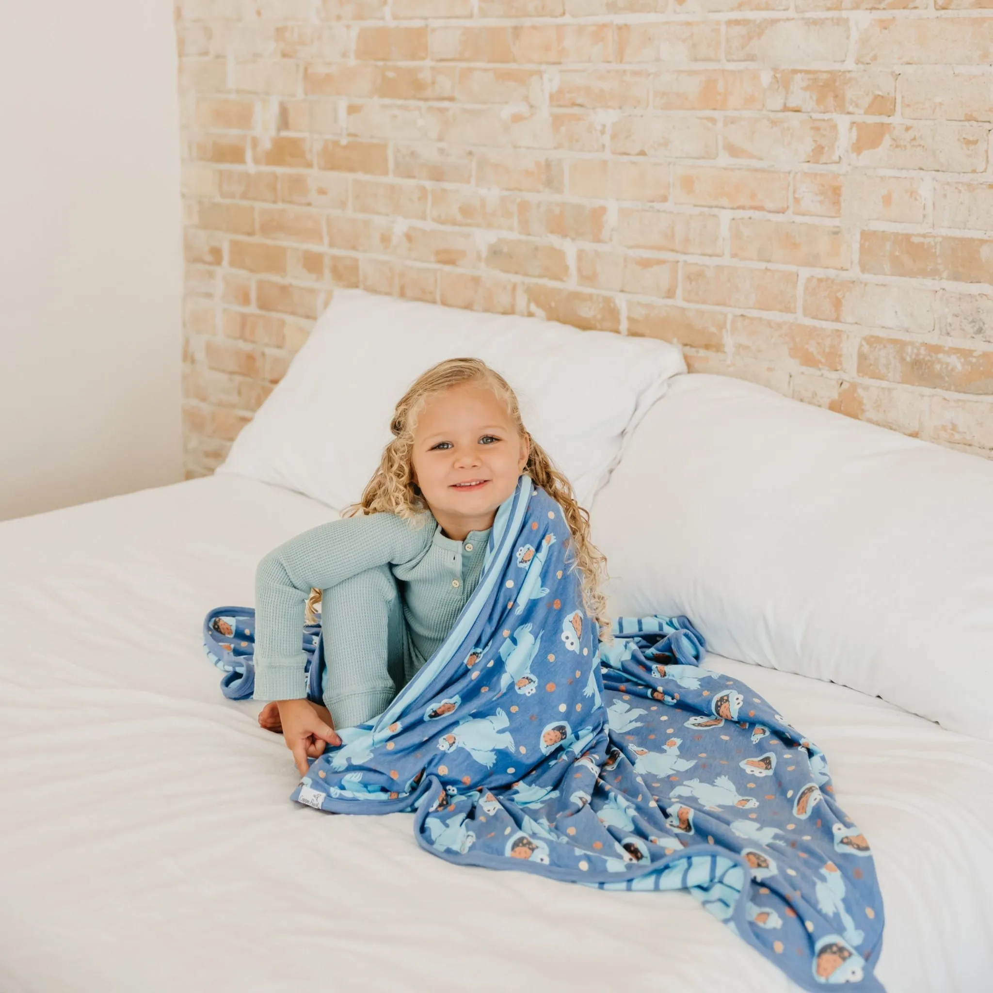 Three-Layer Quilt - Cookie Monster
