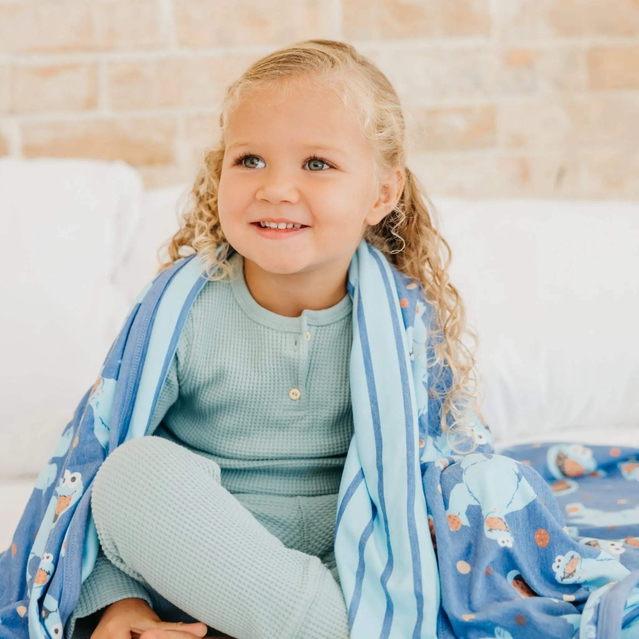 Three-Layer Quilt - Cookie Monster