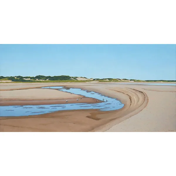 Tidal Contours