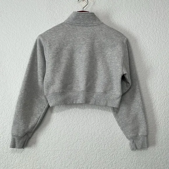 Tna Aritzia Cozy Fleece 1/4 Zip Crop Sweatshirt