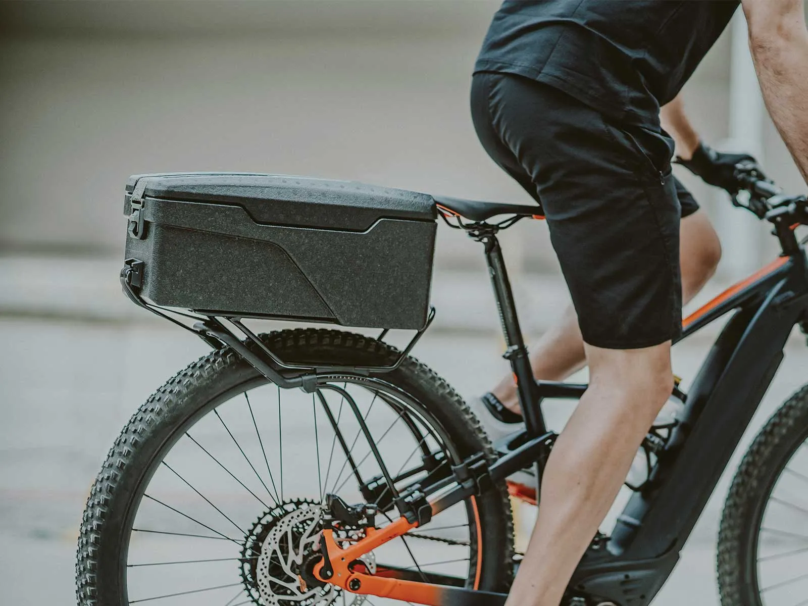 Topeak Bolso E-Explorer Termico para Bateria