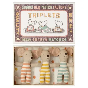 Triplets, Baby Mice In Matchbox