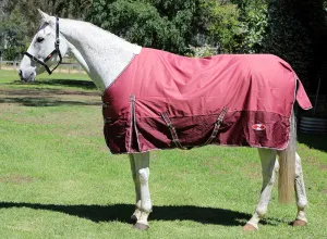 Zilco Explorer Rug